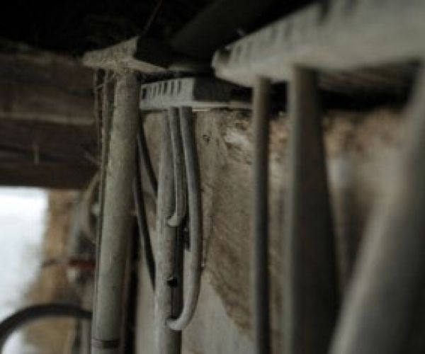 Premična dediščina