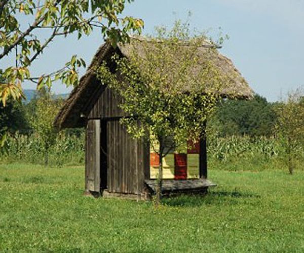 Čebeljnjak na Banovi domačiji